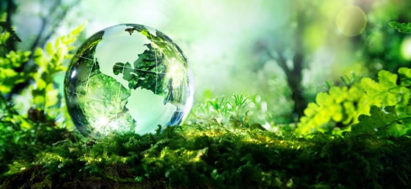 COP28: Impacto no mundo é desigual e prejuízos devem ser compartilhados